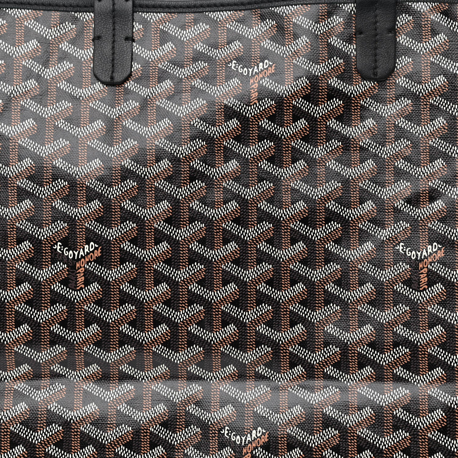 Goyard Goyardine Saint Louis PM Black 10 of 14
