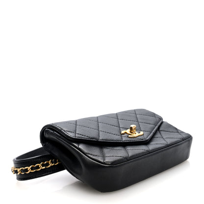 Chanel Calfskin Quilted Flap Waist Bag Black 4 of 10