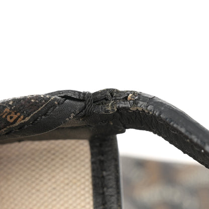 Goyard Goyardine Saint Louis PM Black 13 of 16