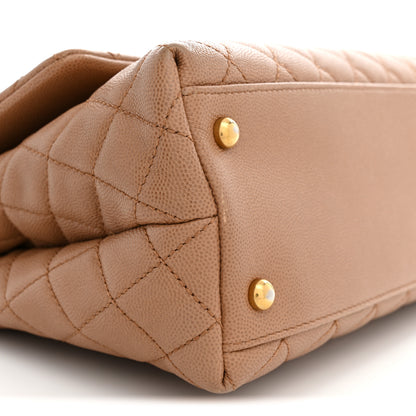 Chanel Caviar Lizard Quilted Small Coco Handle Flap Beige 9 of 10
