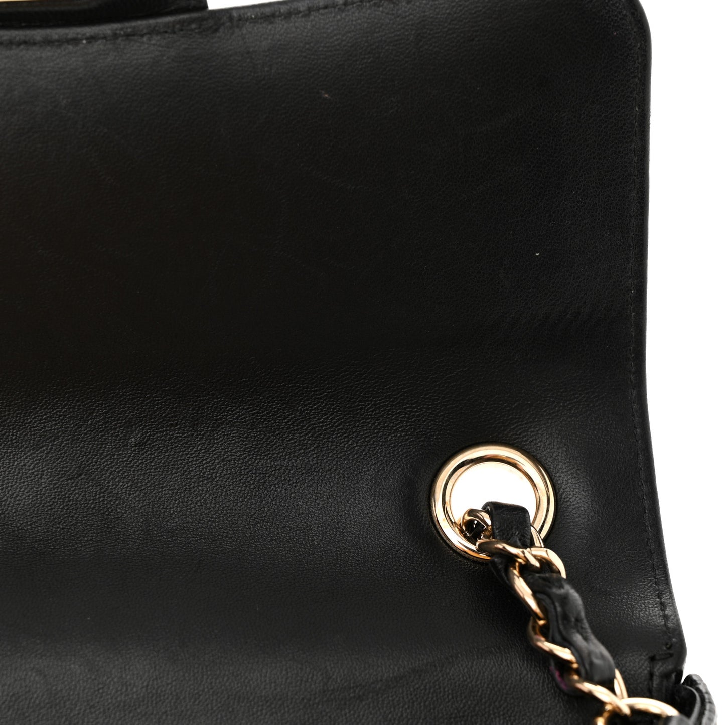 Lizard Mini Rectangular Flap Black