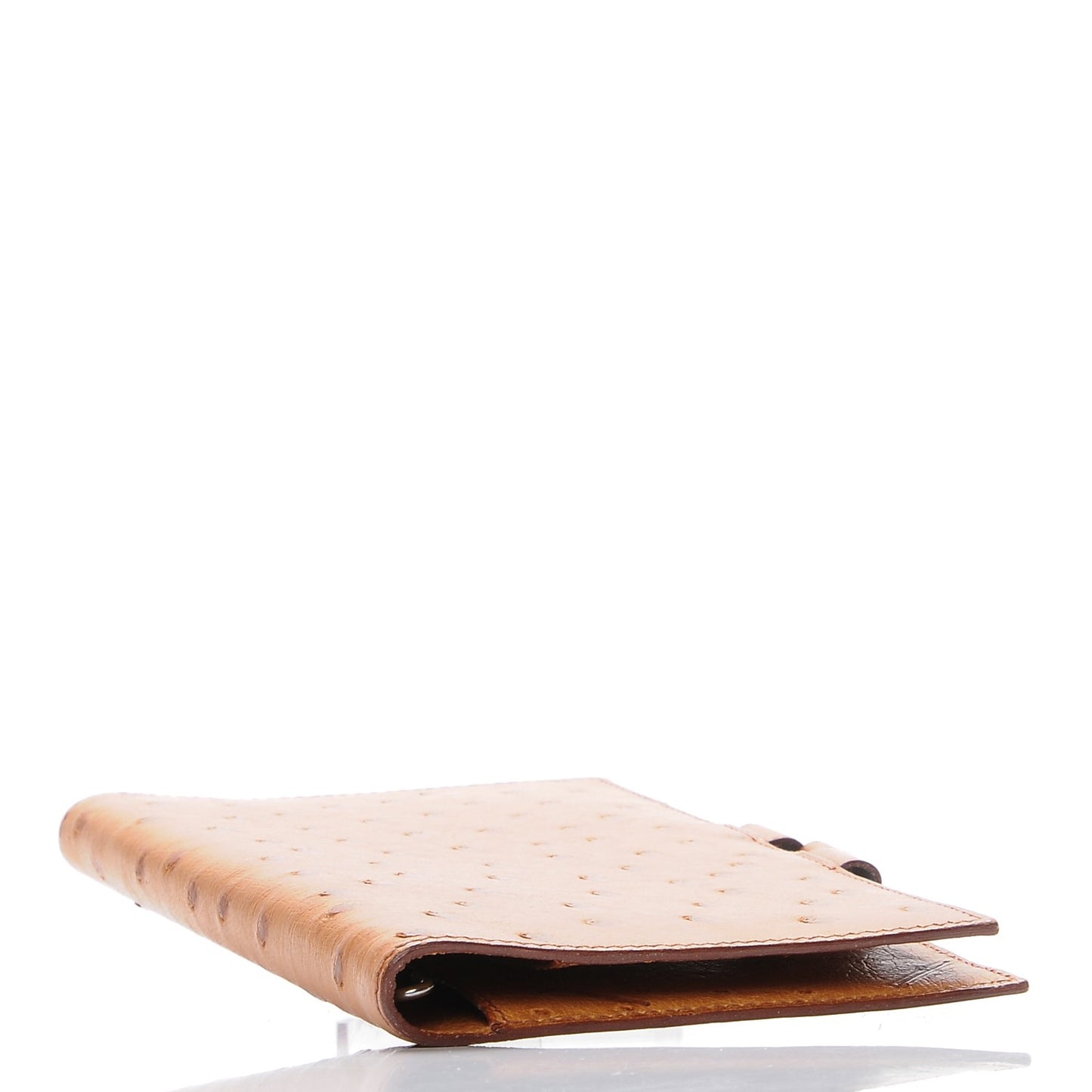 Ostrich Agenda Cover Gold