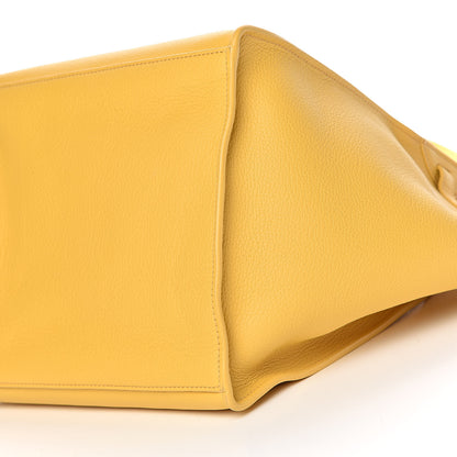 Celine Supple Grained Calfskin Small Long Strap Big Bag Sunflower 9 of 10
