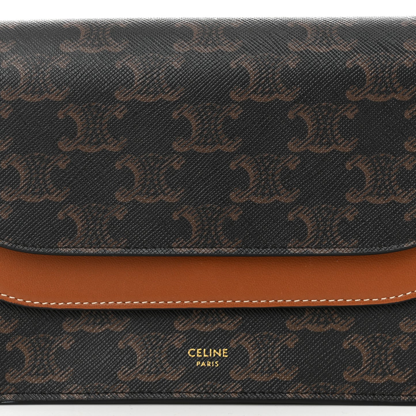 Triomphe Canvas Lambskin Wallet On Strap Tan