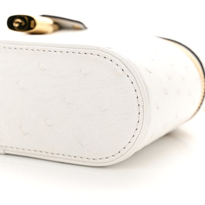 Louis Vuitton Ostrich Vanity Chain Pouch 9 of 9