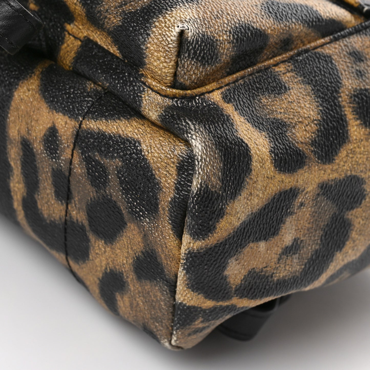 Wild Animal Print Palm Springs Backpack PM