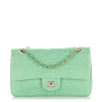 Chanel Alligator Medium Double Flap Light Green 1 of 8