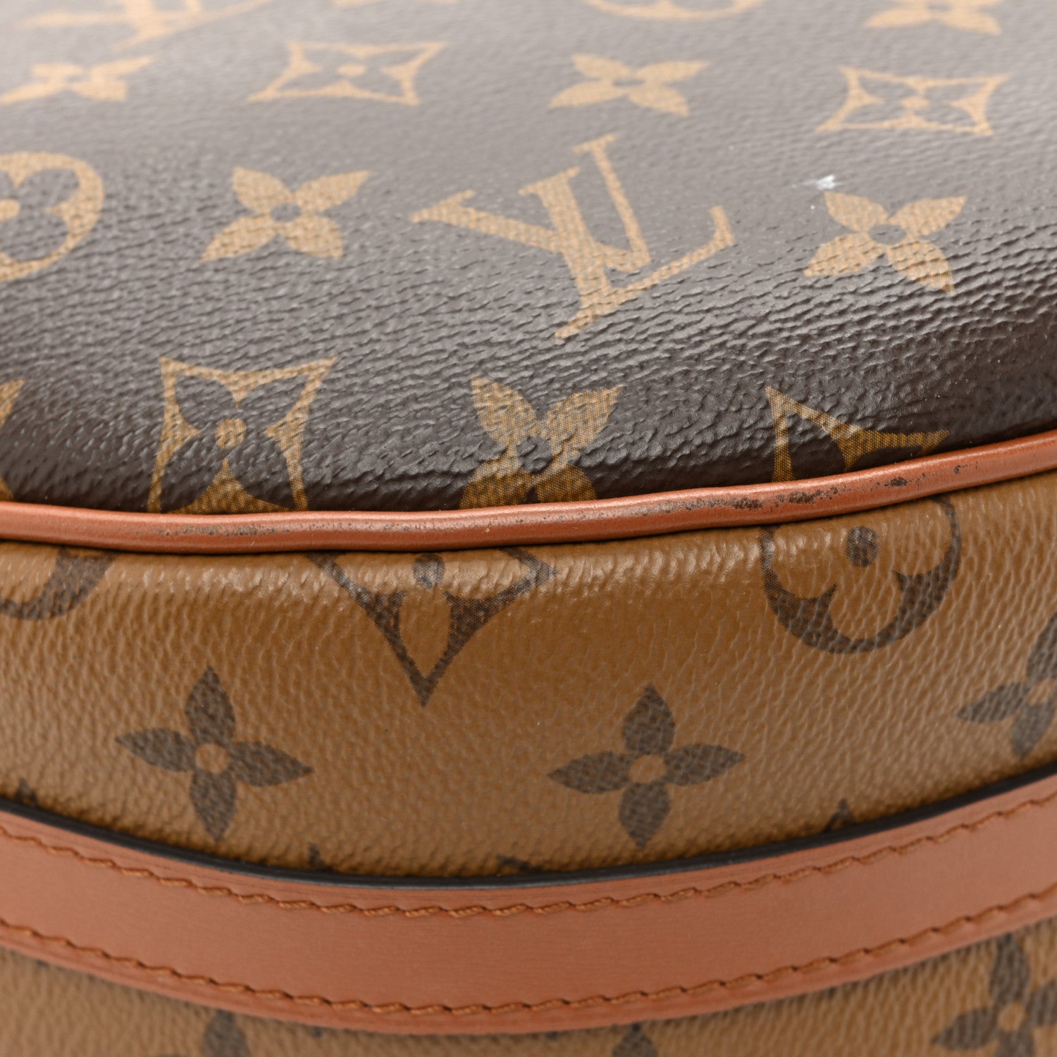 Louis Vuitton Reverse Monogram Loop Hobo 16 of 18