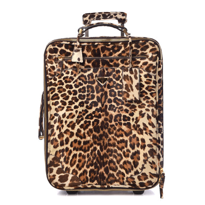 Prada Calf Hair Leopard Print Rollaway 1 of 9