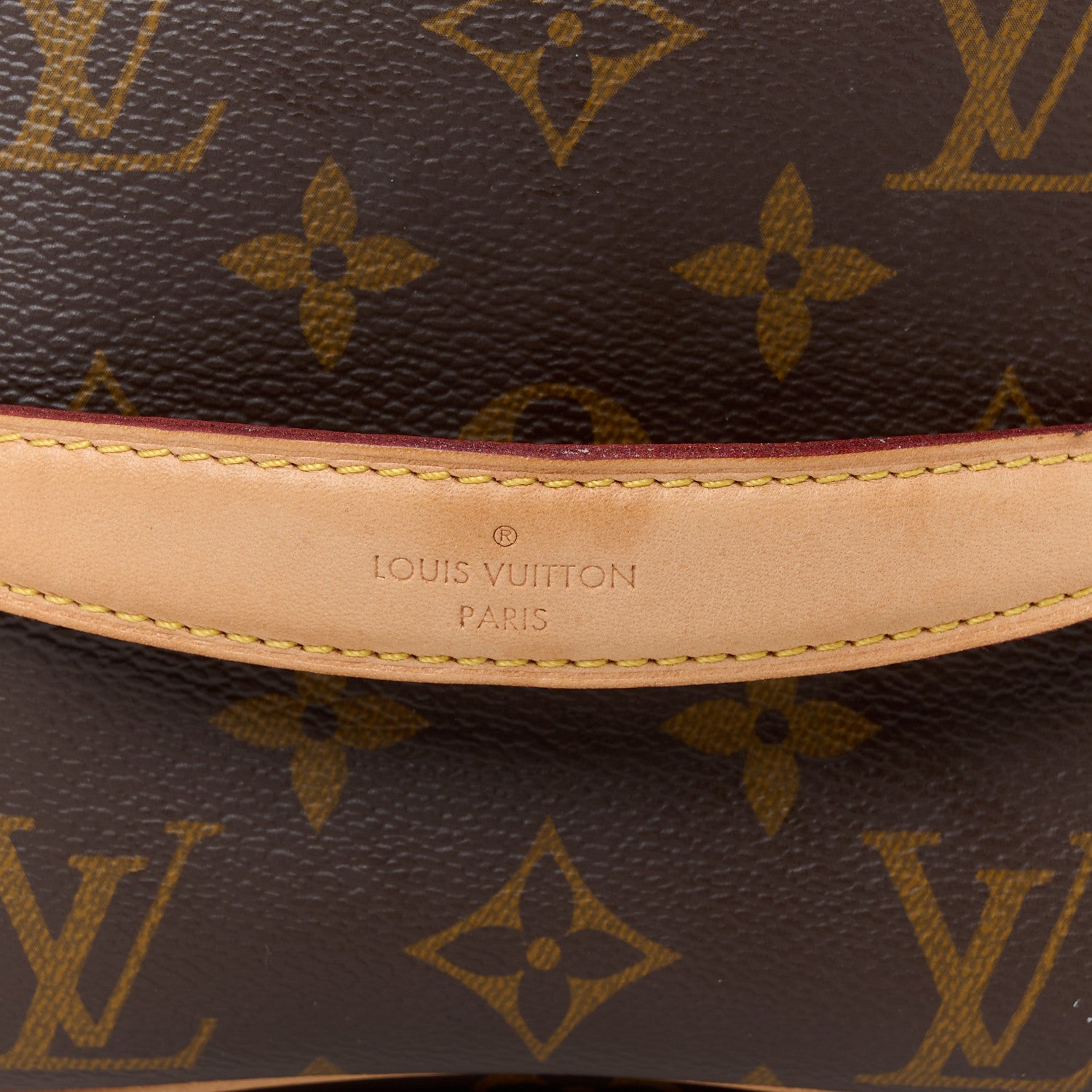 Louis Vuitton Monogram Nice Mini 7 of 10