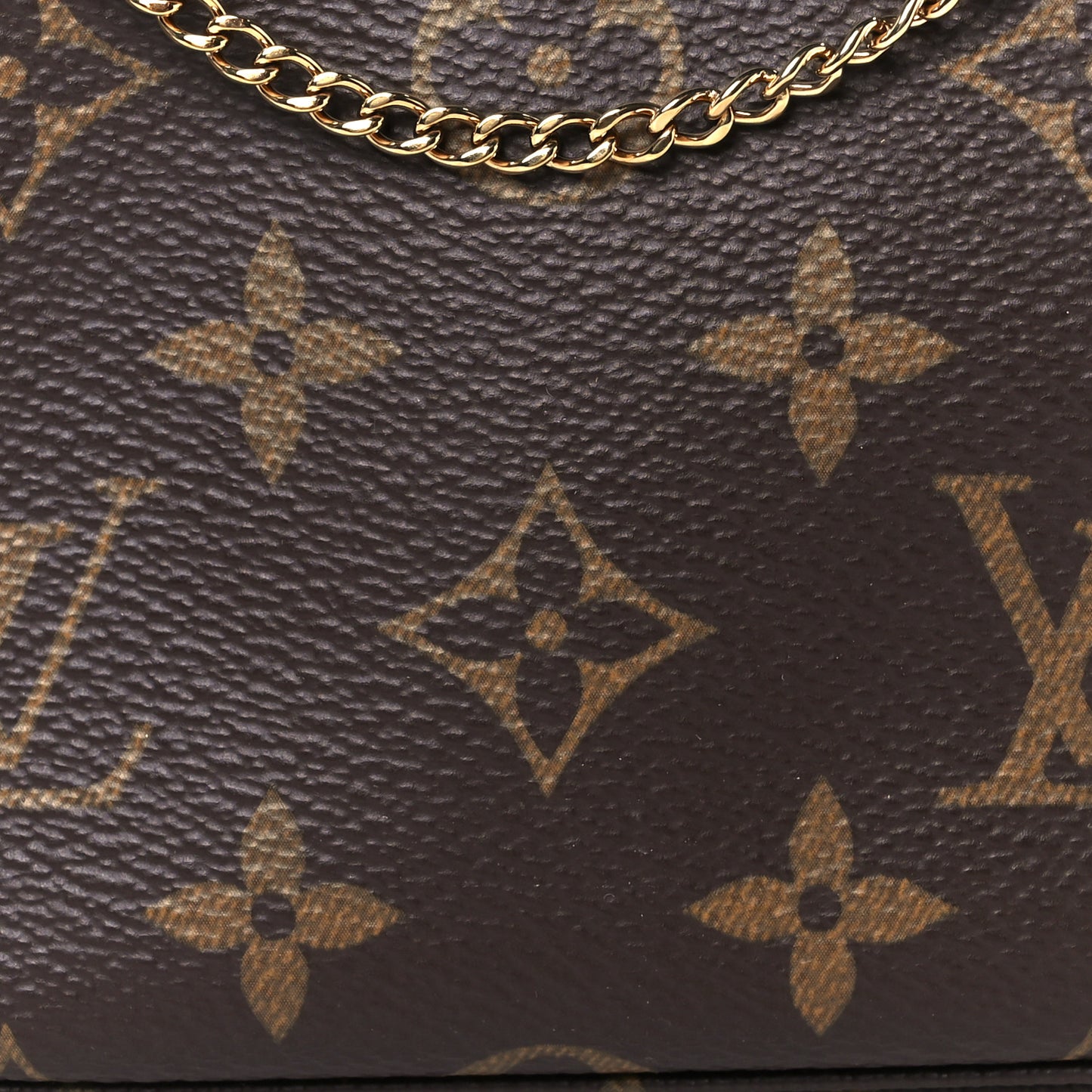 Monogram Mini Pochette Accessories
