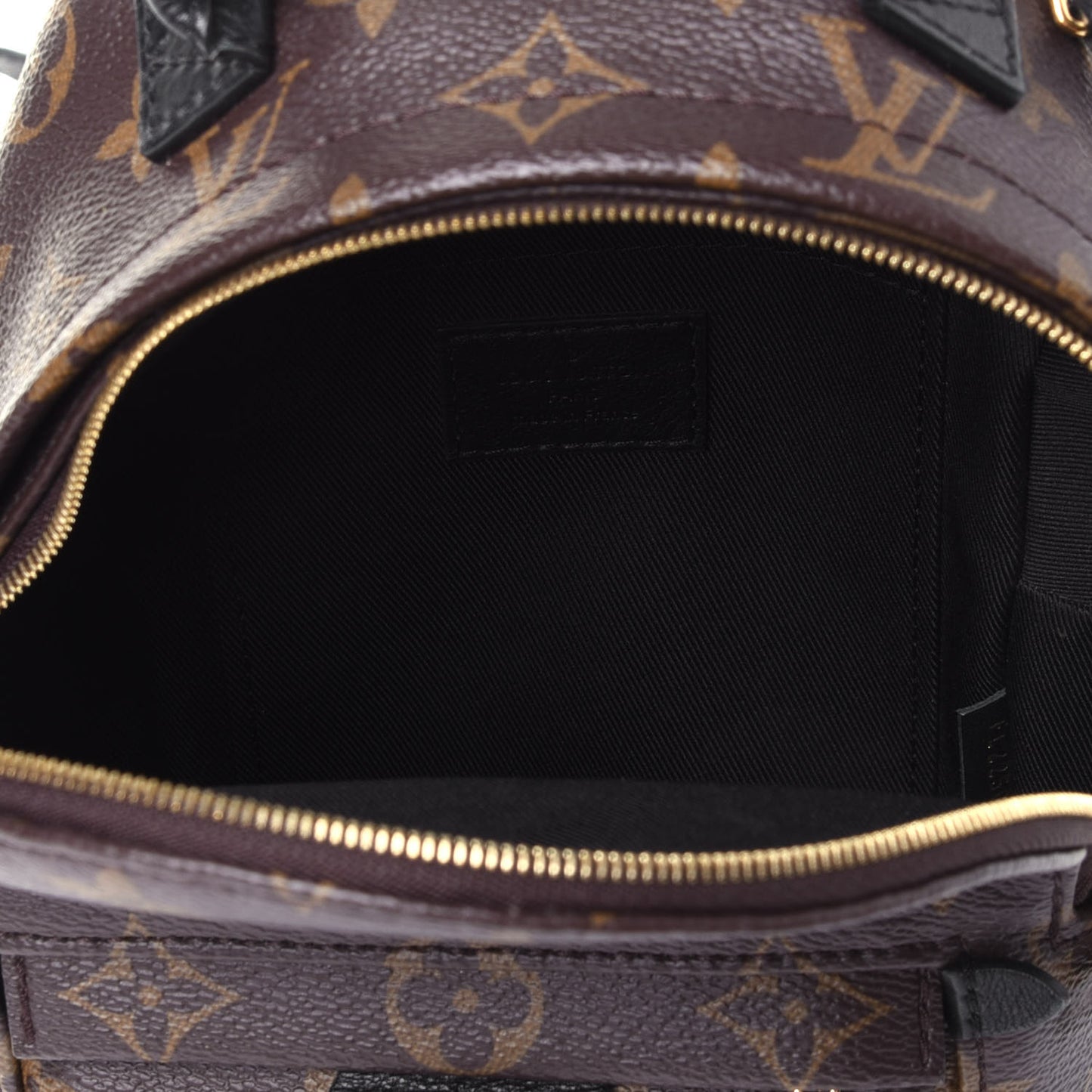 Monogram Palm Springs Backpack Mini