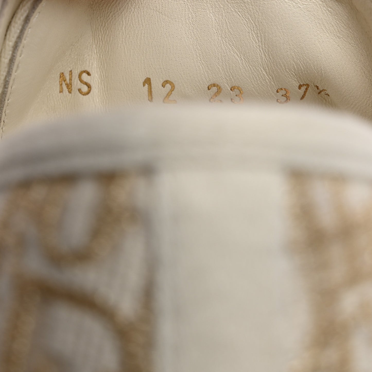 Canvas Lurex Oblique Walk'N'Dior Platform Sneakers 37.5 Pale Gold