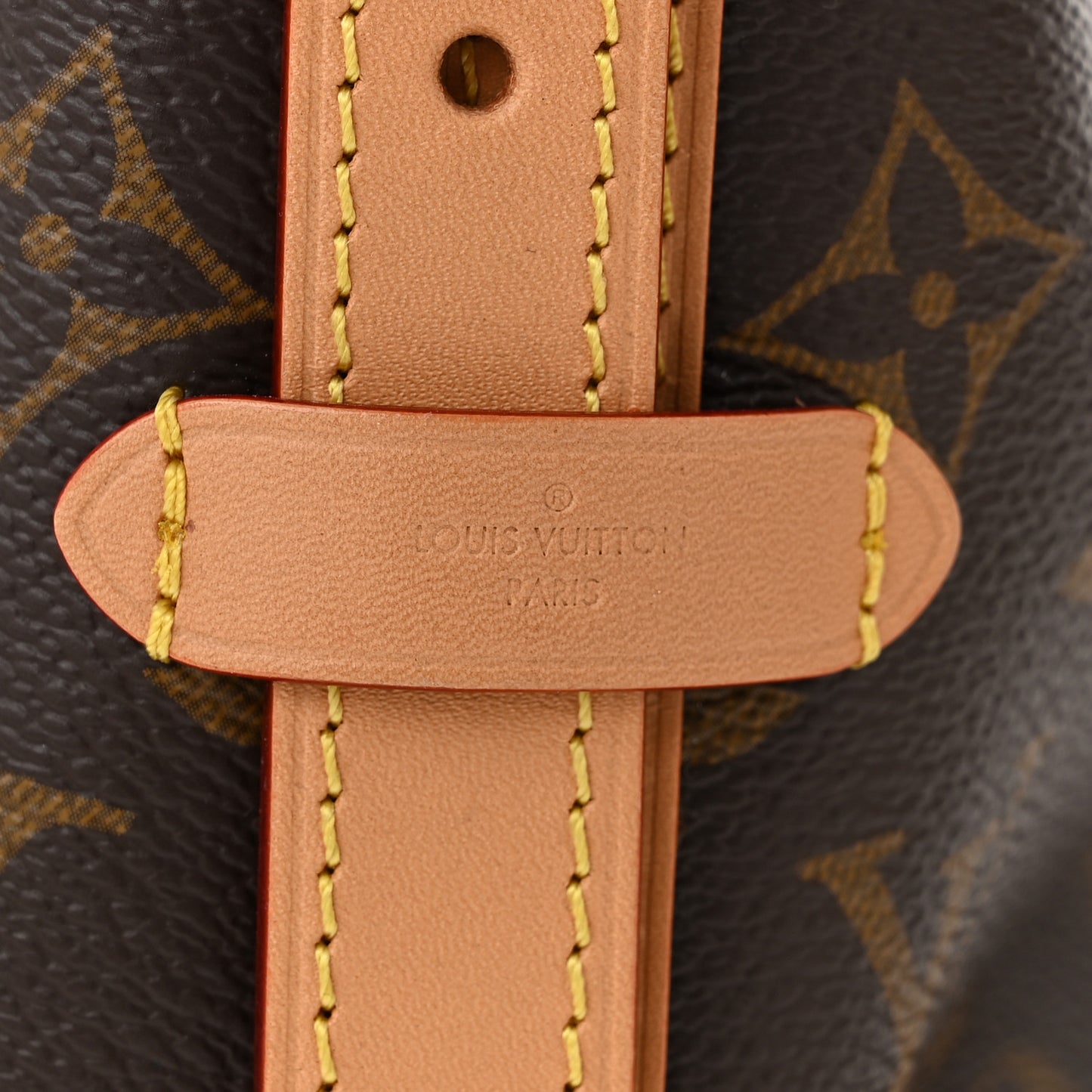 Monogram Carryall PM