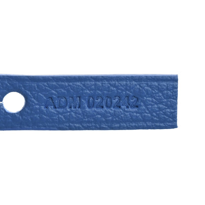 Goyard Goyardine Saint Louis PM Sky Blue 9 of 12