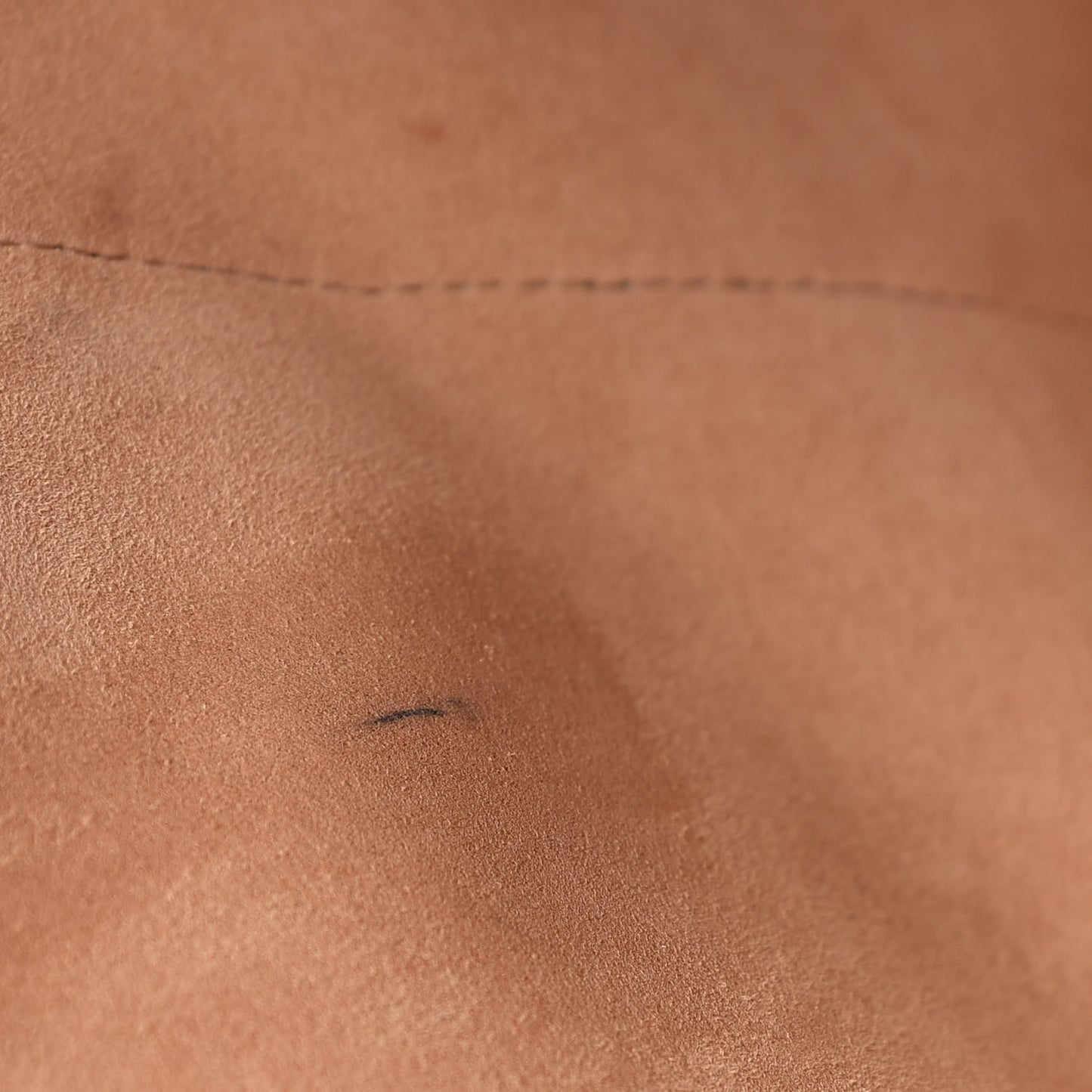 GG Supreme Monogram Web Ophidia Tote Brown