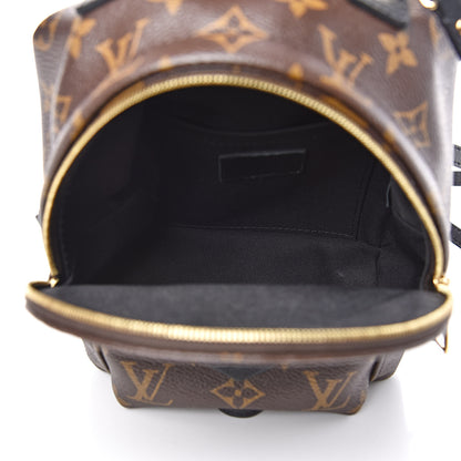 Louis Vuitton Monogram Palm Springs Backpack Mini 5 of 11