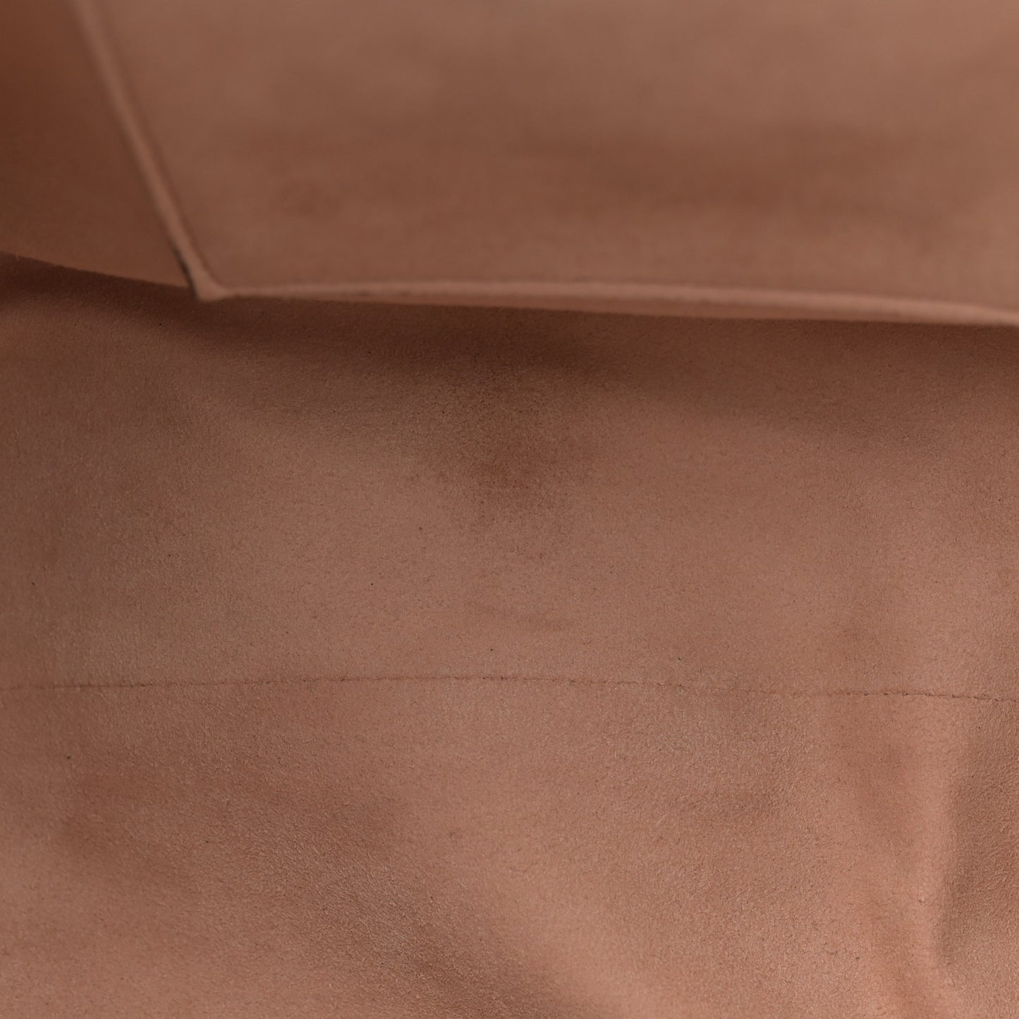 Calfskin Web Stripe Large Dionysus Tote Bag Black