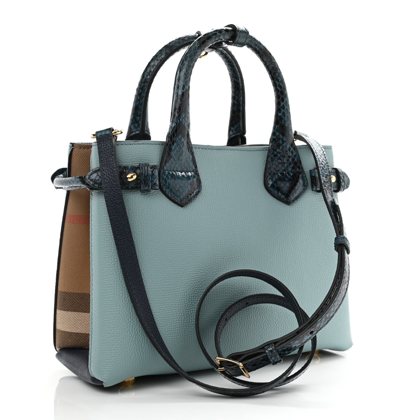 Derby Calfskin Watersnake Beasts Fish Small Banner Tote Pale Opal
