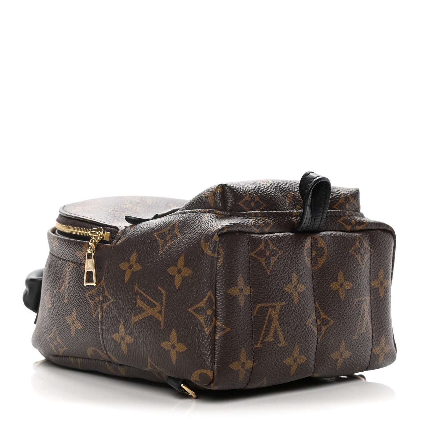 Monogram Palm Springs Backpack Mini