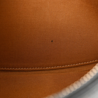 Celine Triomphe Canvas Calfskin Ava Shoulder Bag Tan 11 of 11