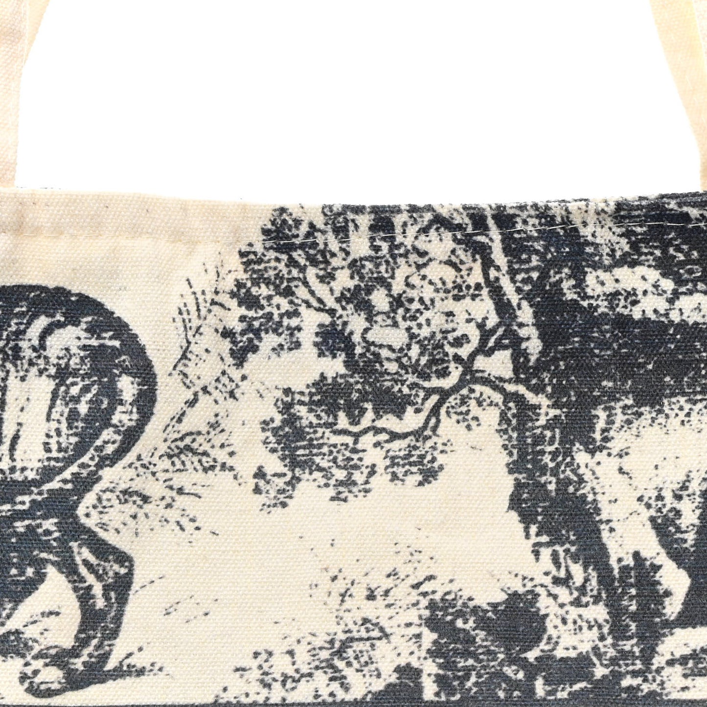 Straw Dioriviera Tote  Beige