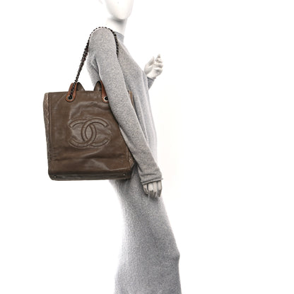Chanel Iridescent Calfskin In The Mix Tall Tote Khaki 2 of 10