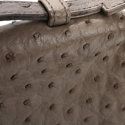 Loro Piana Ostrich L19 Extra Pocket Pouch 14 of 14