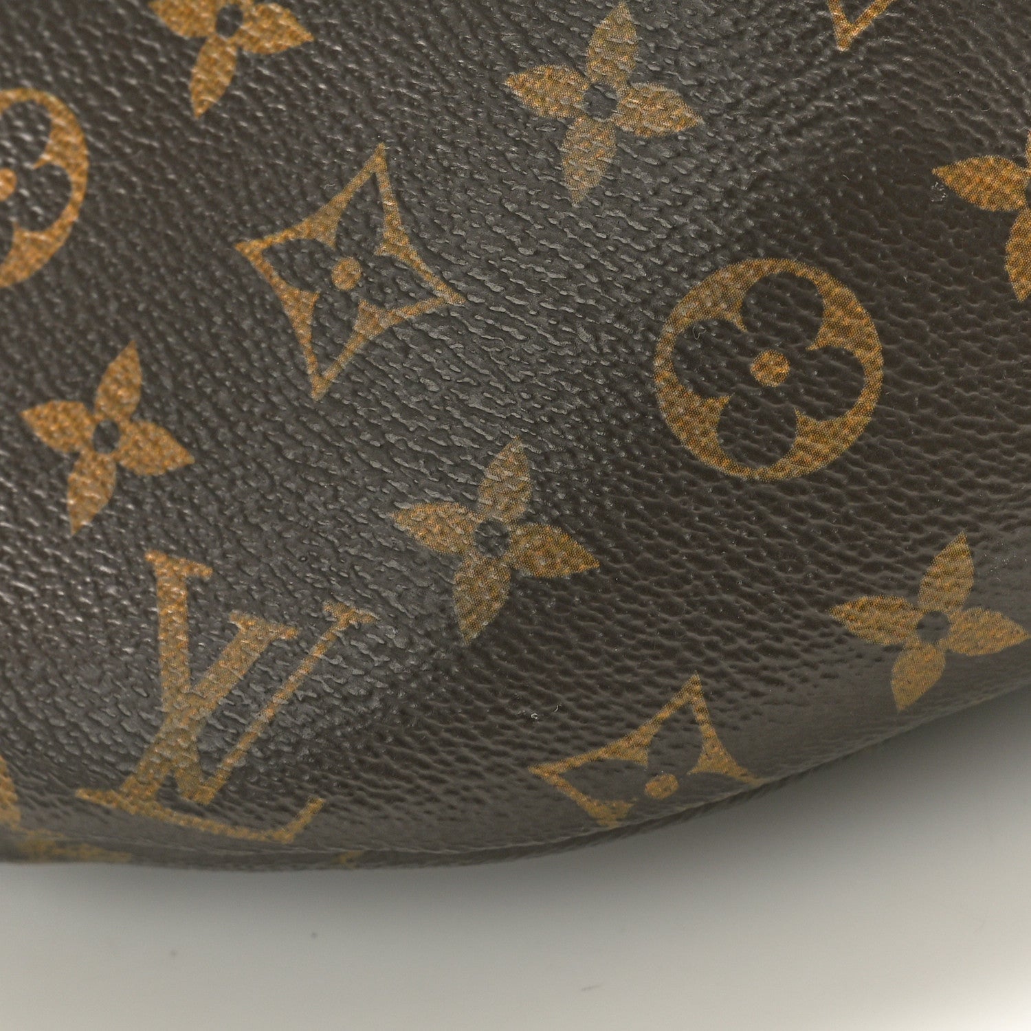 Louis Vuitton Monogram Bumbag 9 of 10