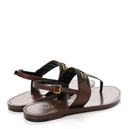 Gucci Calfskin Web GG Thong Sandals 35.5 Ebony 4 of 7