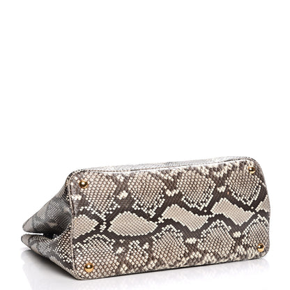 Prada Python Large Double Bag Roccia 5 of 13