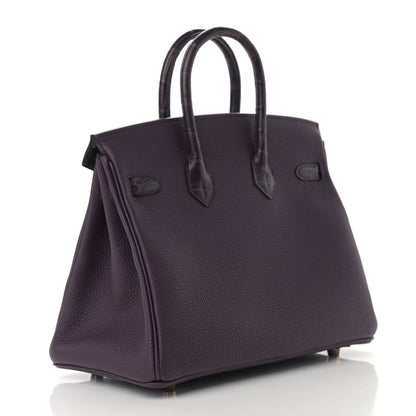 Hermes Togo Matte Alligator Birkin Touch 25 Raisin 3 of 11