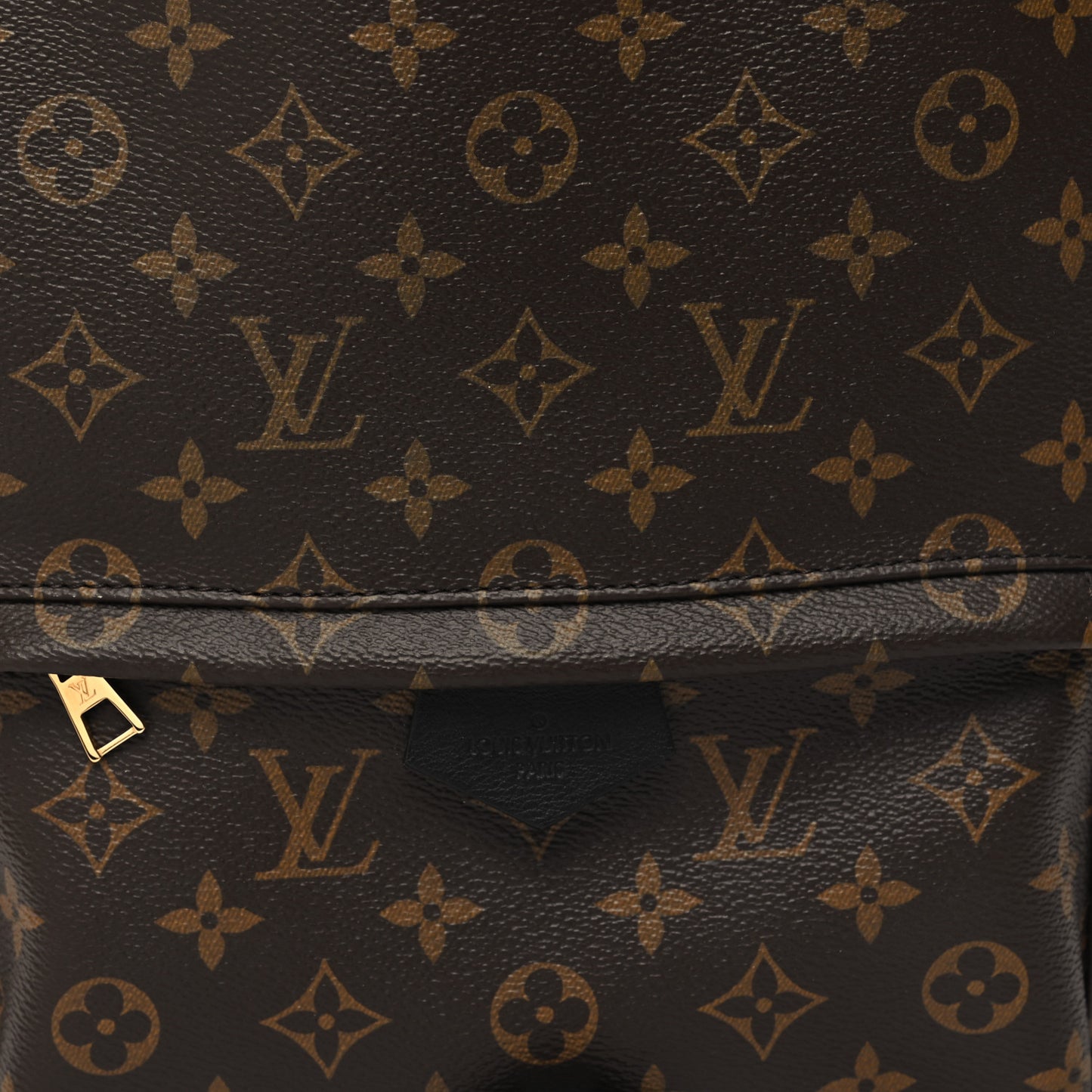 Monogram Palm Springs Backpack MM