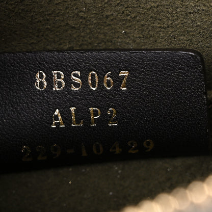 Fendi Sheepskin Vitello King Plexiglass Logo Embroidered Mini By The Way Top Handle Boston Ghiaccio 7 of 9