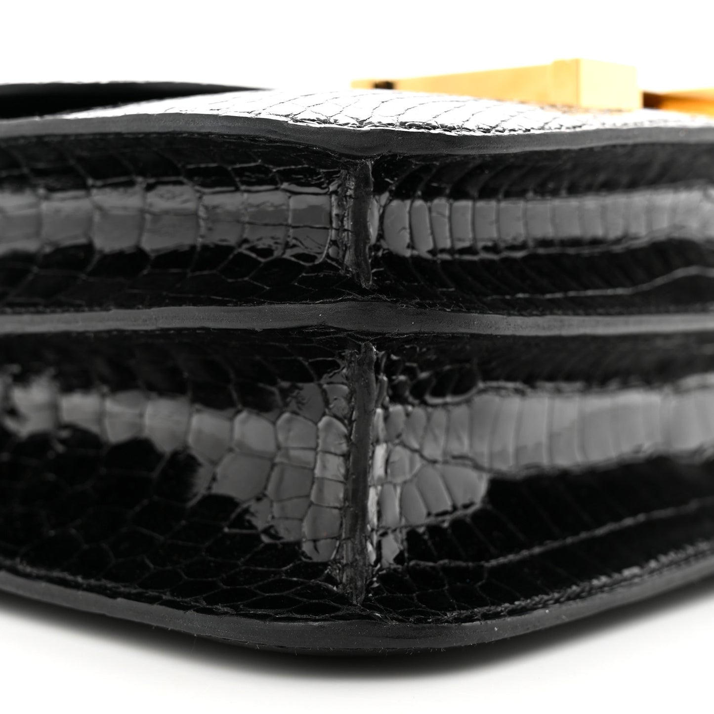 Shiny Porosus Crocodile Constance 24 Black