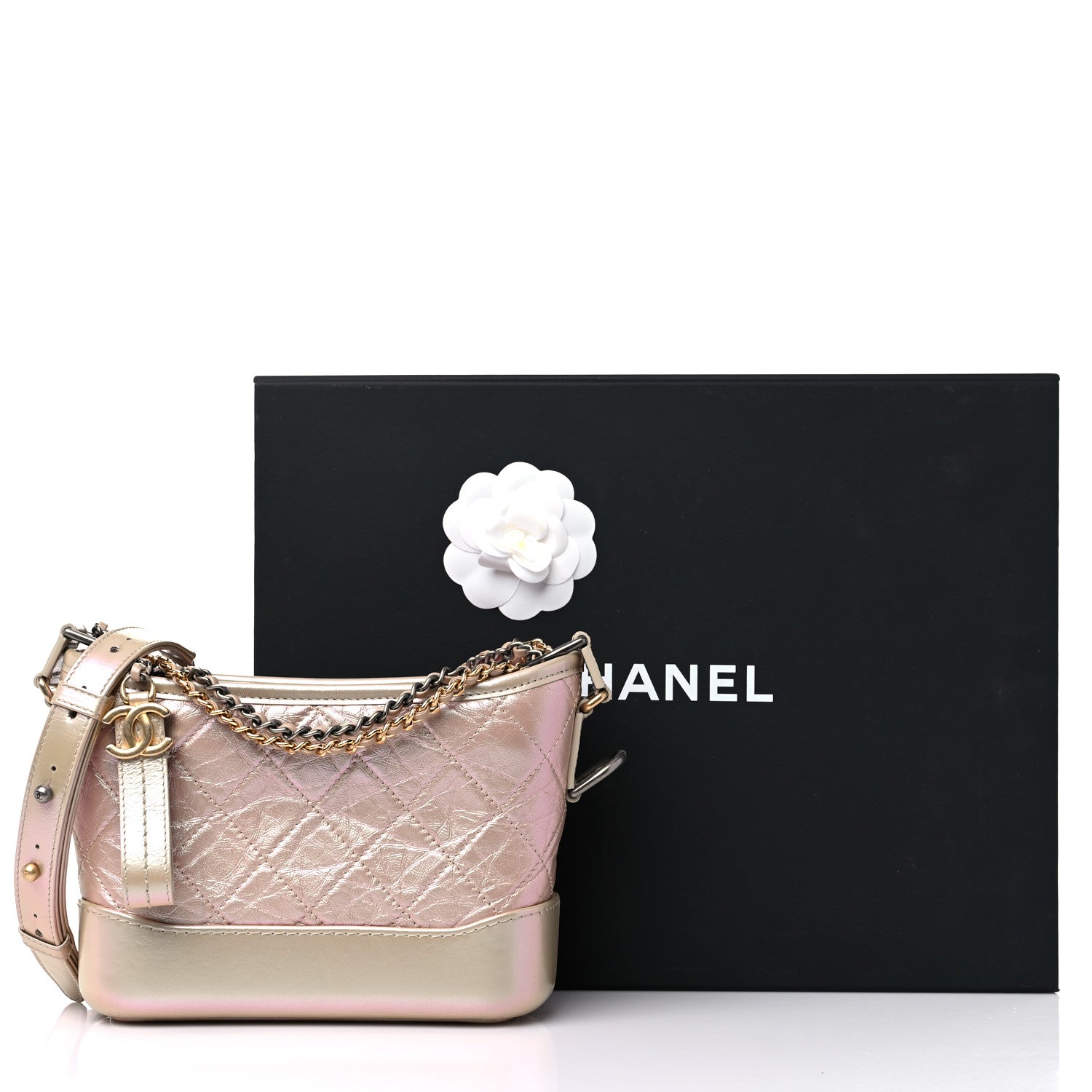 Chanel Iridescent Lambskin Calfskin Quilted Small Gabrielle Hobo Beige 10 of 10