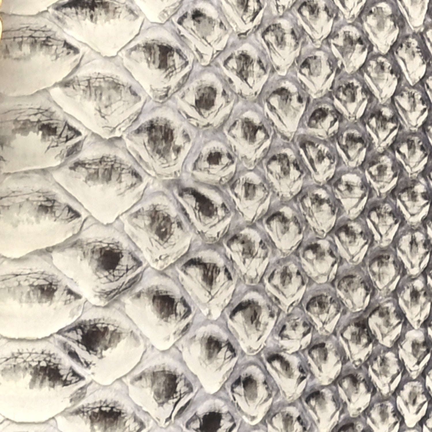 Chloe Python Smooth Calfskin Mini Drew Shoulder Bag 10 of 13