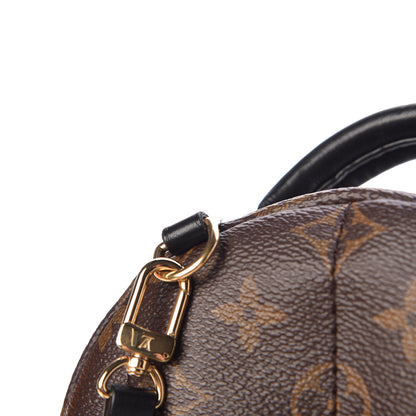 Louis Vuitton Monogram Palm Springs Backpack Mini 7 of 15
