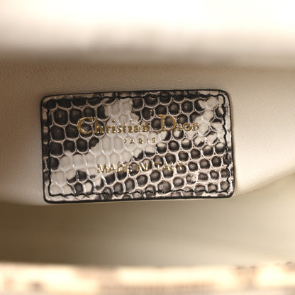 Christian Dior Lizard Ombre Mini Lady Dior 6 of 10
