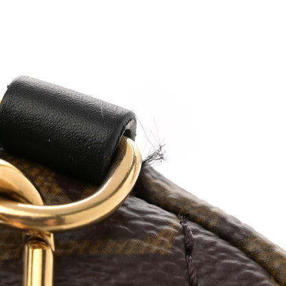 Louis Vuitton Monogram Palm Springs Backpack Mini 10 of 11