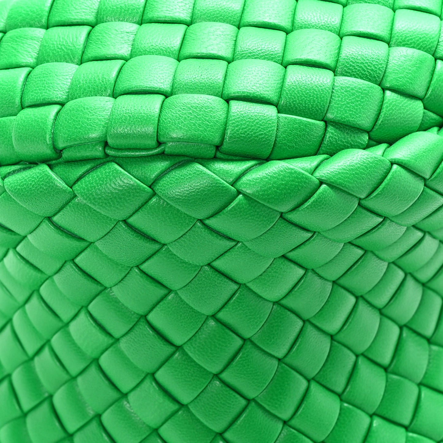 Rubber Intreccio Padded Mini Jodie Parakeet