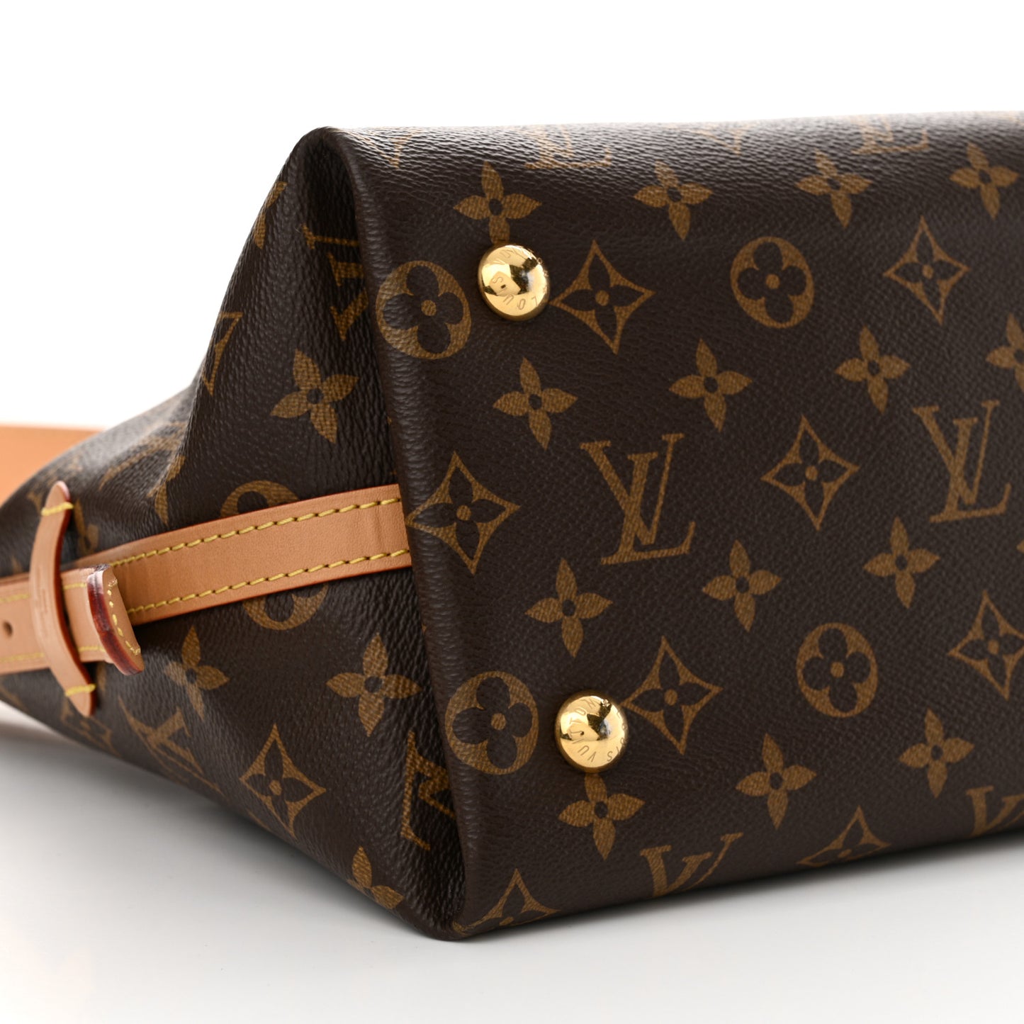 Monogram CarryAll PM
