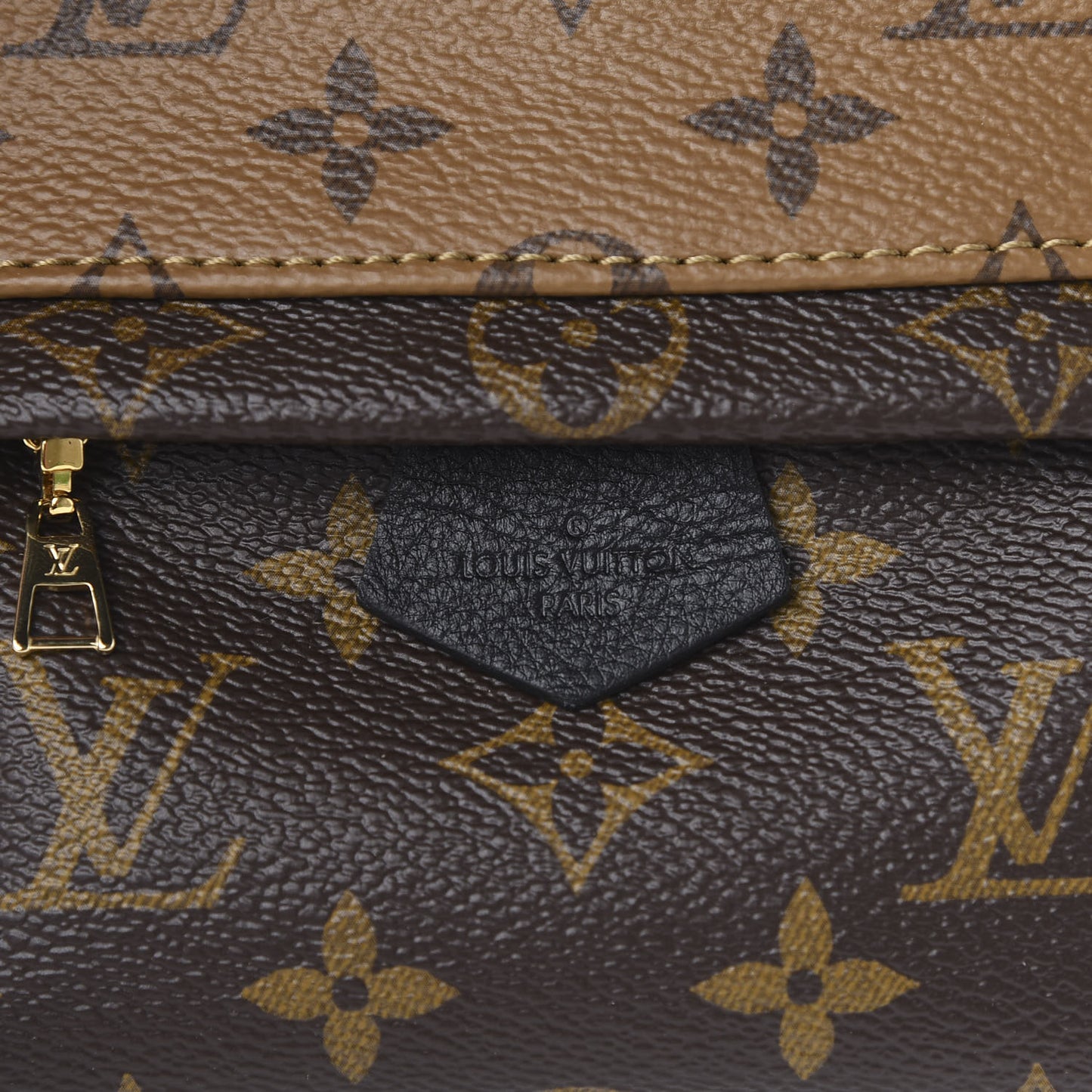 Reverse Monogram Palm Springs Backpack Mini