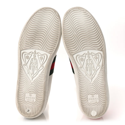 Gucci Calfskin Ayers Bee Embroidered Womens Ace Sneakers 37 White Green 7 of 11