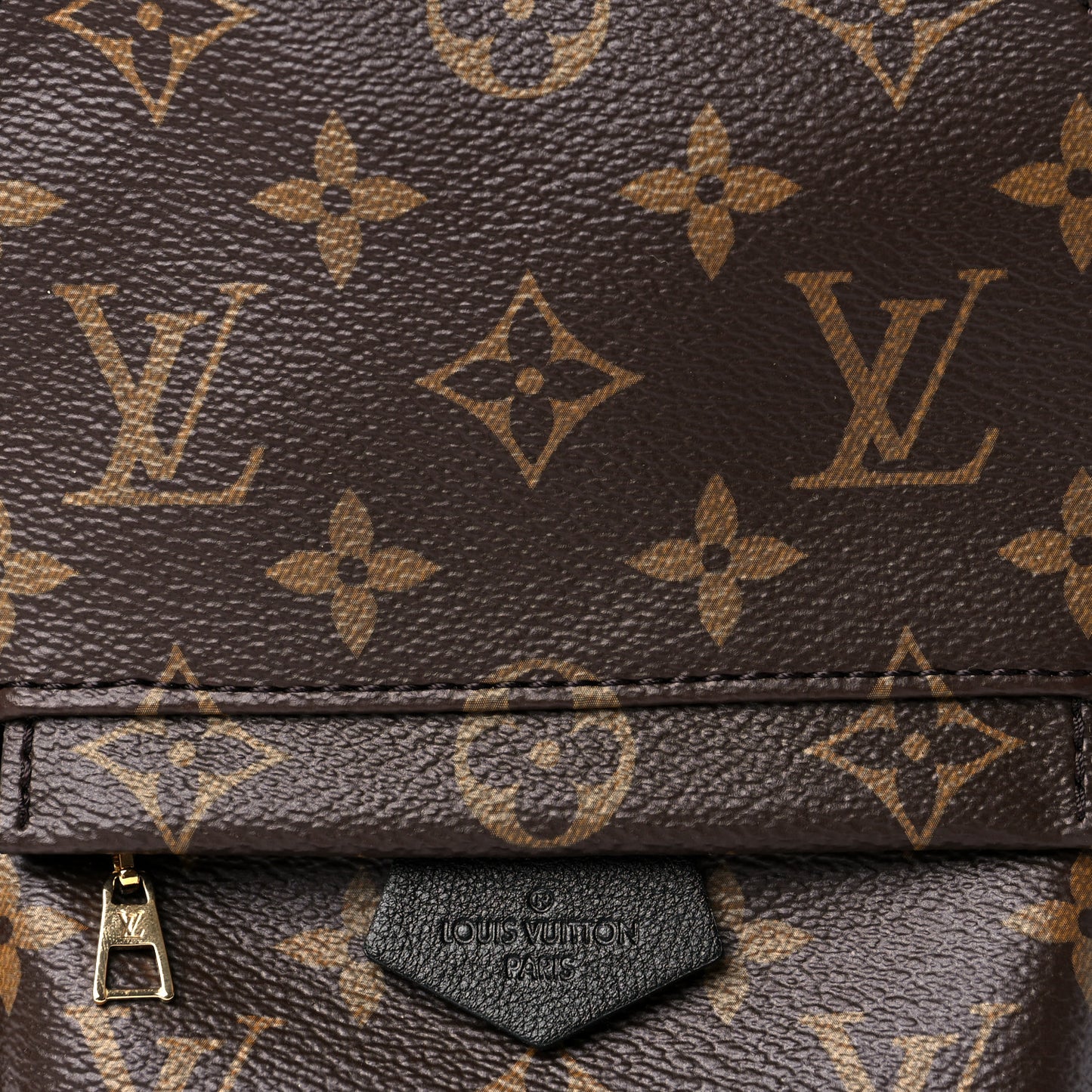 Monogram Palm Springs Backpack Mini