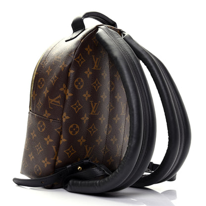 Louis Vuitton Monogram Palm Springs Backpack PM 2 of 14
