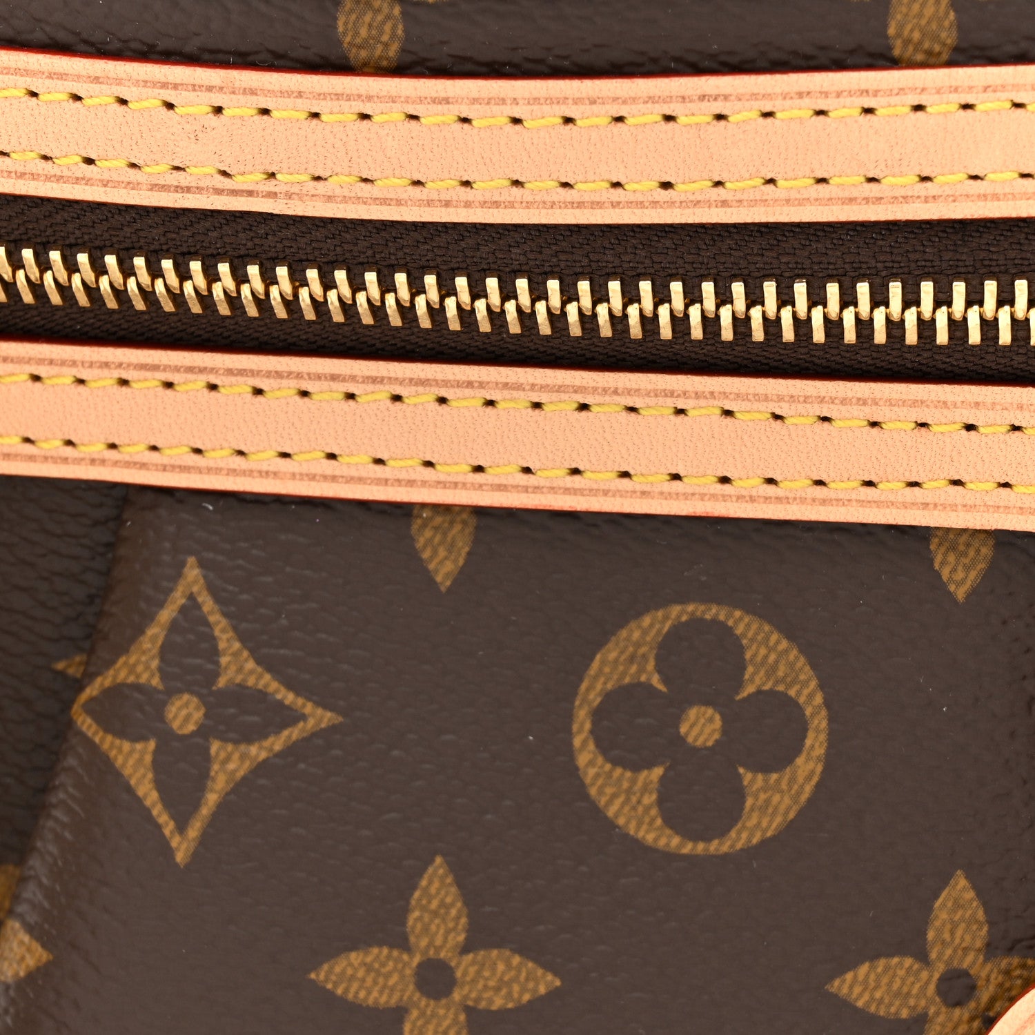 Louis Vuitton Monogram High Rise Bumbag 7 of 10