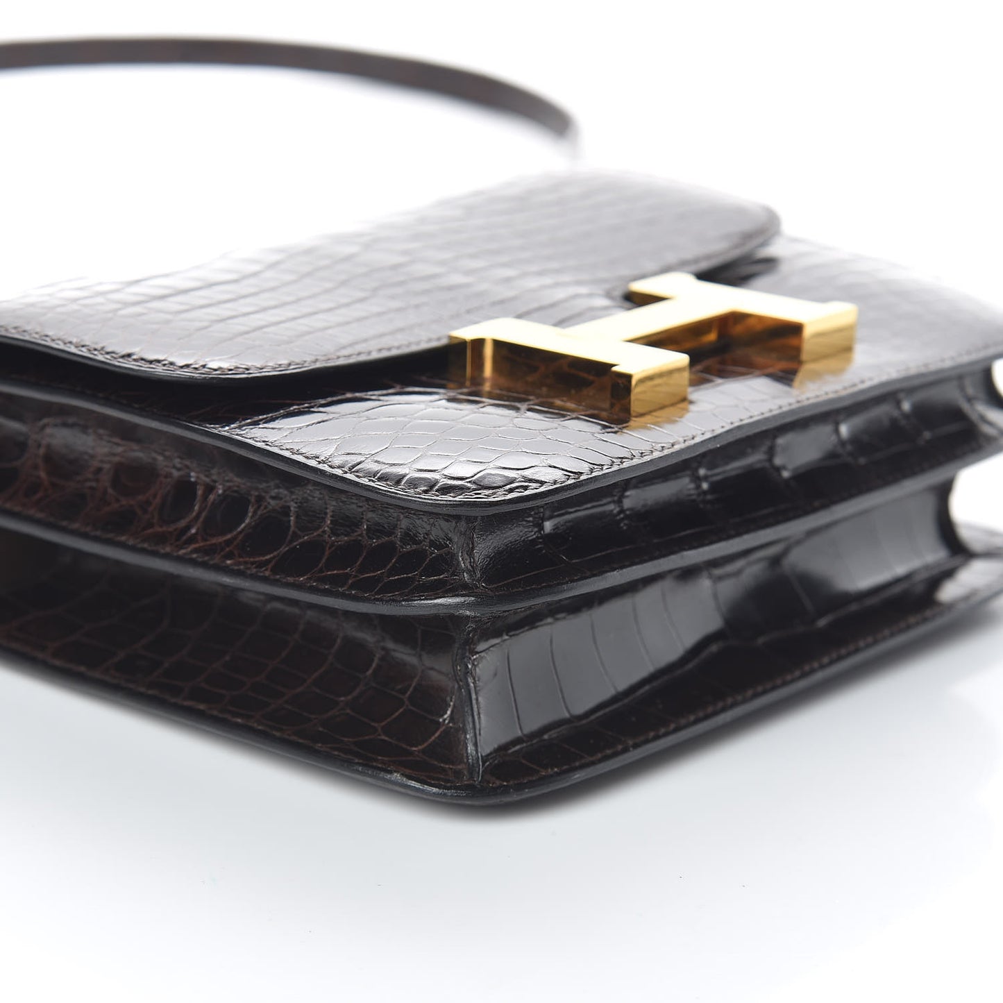Shiny Alligator Constance 18 Ebene