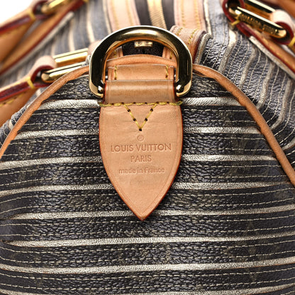 Louis Vuitton Monogram Eden Speedy Argent 7 of 18