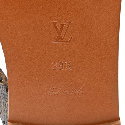 Louis Vuitton Monogram Sunny Flat Thong Sandals 38.5 Brown 6 of 8